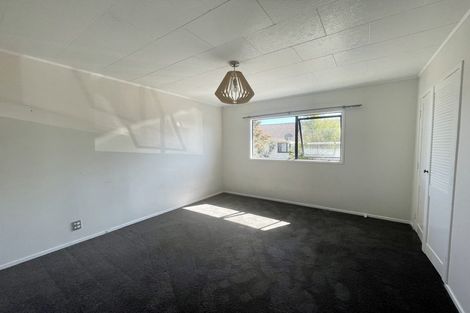 Photo of property in 133 Finlayson Avenue, Clendon Park, Auckland, 2103