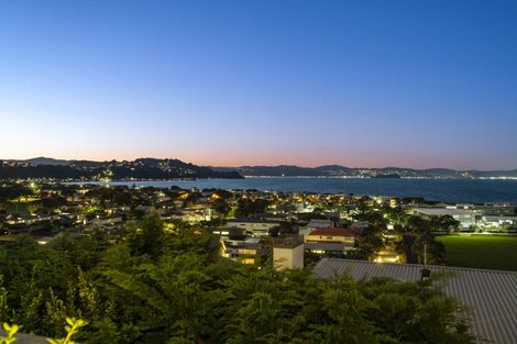 Photo of property in 78 Burnham Street, Seatoun, Wellington, 6022