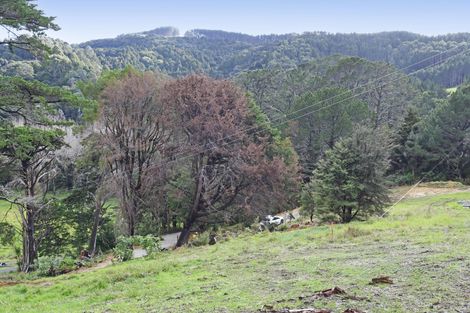 Photo of property in 99 Birdsall Road, Whangateau, 0985