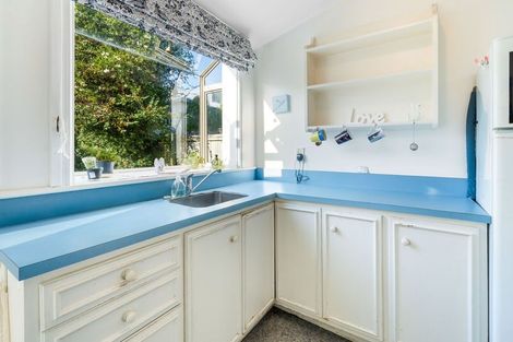 Photo of property in 21 Baldwin Street, North East Valley, Dunedin, 9010