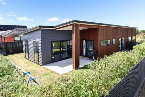 Photo of property in 54 Lulu Avenue, Chartwell, Hamilton, 3210