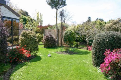 Photo of property in 20 Taranaki Drive, Woodend, 7610