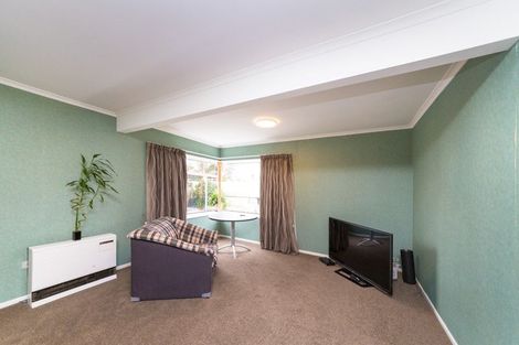 Photo of property in 119a Maxwells Line, Awapuni, Palmerston North, 4412