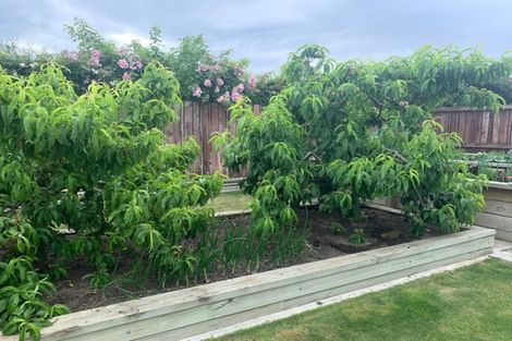 Photo of property in 6 Gilling Place, Cromwell, 9310