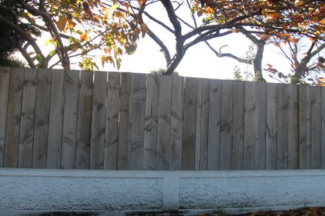 Photo of property in 111a Featherston Street, Takaro, Palmerston North, 4412