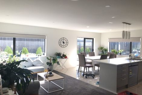 Photo of property in 8a Blythe Place, Glendene, Auckland, 0602