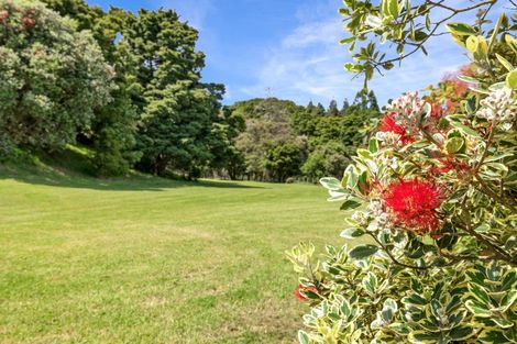 Photo of property in 856 Ocean View Road, Te Arai, Wellsford, 0975