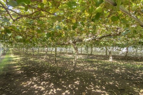 Photo of property in 76 Pukakura Road, Katikati, 3178