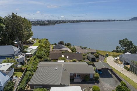 Photo of property in 266 Maungatapu Road, Maungatapu, Tauranga, 3112