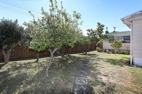 Photo of property in 71 Thames Street, Rongotea, 4476