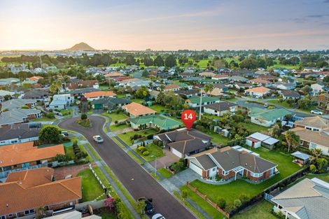 Photo of property in 14 Azalea Dell, Mount Maunganui, 3116