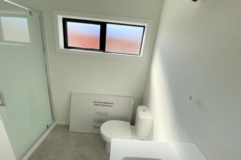 Photo of property in 17b Lyon Street, Frankton, Hamilton, 3204