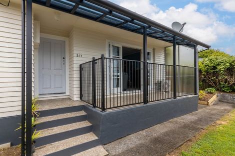 Photo of property in 217 Tukapa Street, Westown, New Plymouth, 4310
