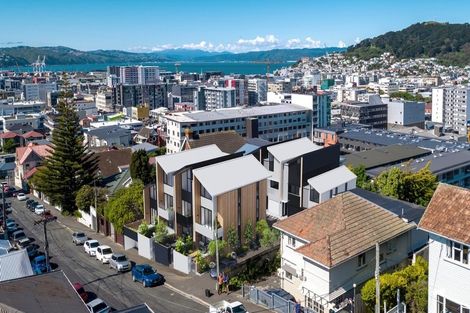 Photo of property in 25c Thompson Street, Mount Cook, Wellington, 6011