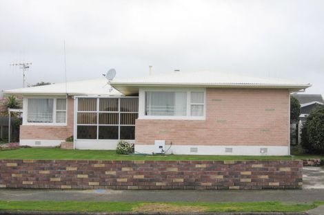 Photo of property in 46 Featherston Street, Levin, 5510