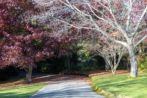 Photo of property in 33 Ribbonwood Road, Geraldine Downs, Geraldine, 7991