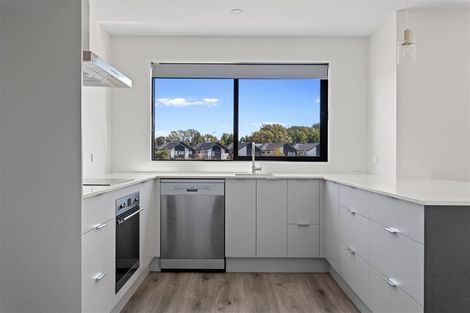 Photo of property in 43 Streamside Terrace, Kaiapoi, 7630