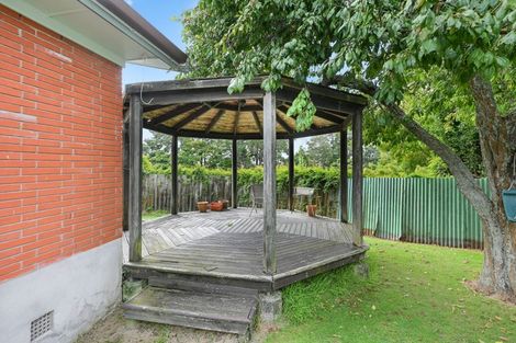 Photo of property in 22a Dawson Street, Hamilton East, Hamilton, 3216