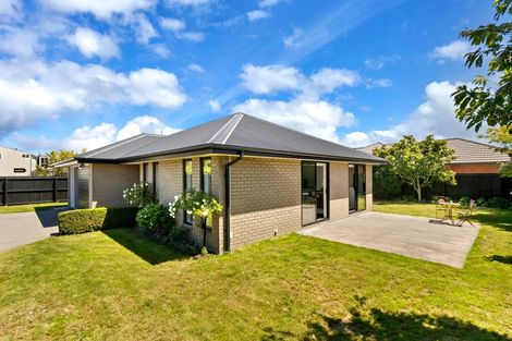 Photo of property in 20 Larne Place, Belfast, Christchurch, 8051