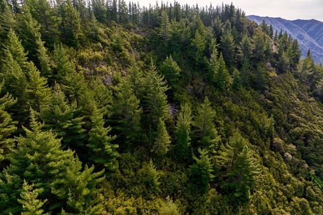 Photo of property in 895 Waikakaho Road, Tuamarina, Blenheim, 7273