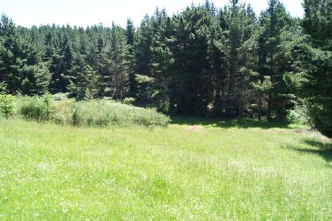 Photo of property in 107 District Road, Palmerston, 9430