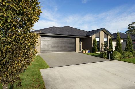 Photo of property in 34 Minerva Crescent, Woodend, 7610