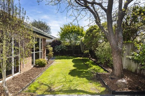 Photo of property in 9 Selwyn Street, Somerfield, Christchurch, 8024