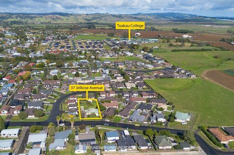 Photo of property in 37 Jellicoe Avenue, Tuakau, 2121