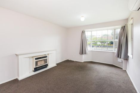 Photo of property in 478b College Street, Hokowhitu, Palmerston North, 4410