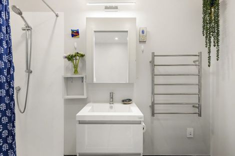 Photo of property in Aniva Terrace, 12 Arney Street, Newtown, Wellington, 6021