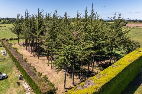 Photo of property in 49 Ashworths Road, Amberley, 7481