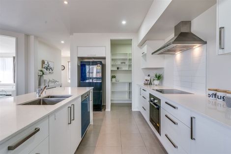 Photo of property in 25 Tauhinu Avenue, Lincoln, 7608