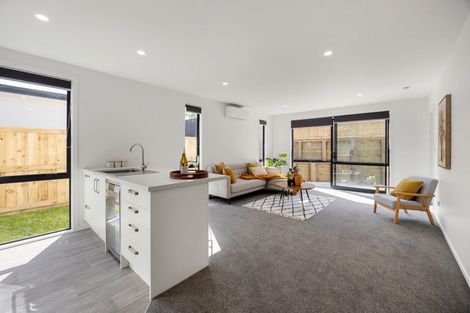 Photo of property in 155u3 Rimu Street, Maeroa, Hamilton, 3200