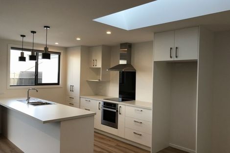 Photo of property in 37a Donegal Street, Cromwell, 9310