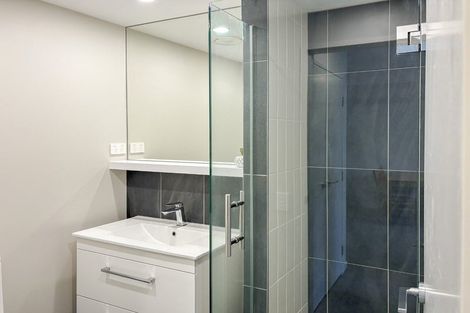 Photo of property in Vsp South, 203/168u Victoria Street, Te Aro, Wellington, 6011