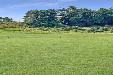 Photo of property in 808 Pahiatua Pongaroa Road, Pahiatua, 4982