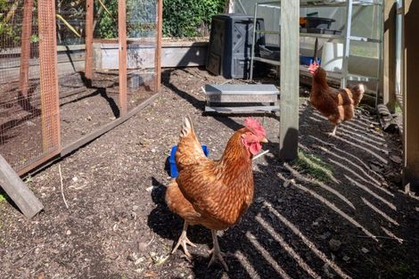 Photo of property in 1/58 Mere Road, Taupo, 3330