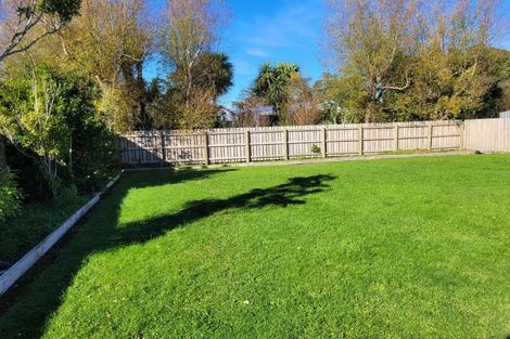 Photo of property in 49 Waite Street, Featherston, 5710