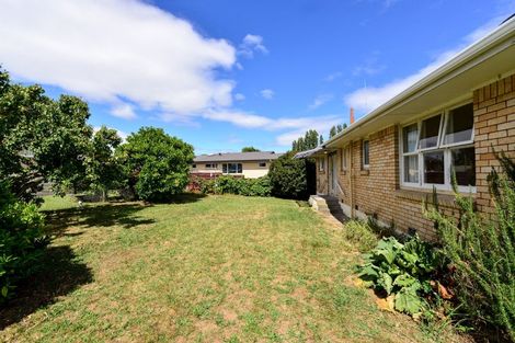 Photo of property in 23 Wymer Terrace, Chartwell, Hamilton, 3210