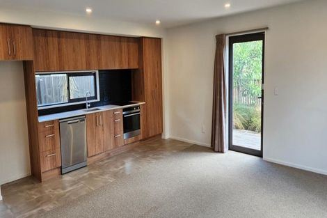 Photo of property in 58 Edward Avenue, Edgeware, Christchurch, 8013