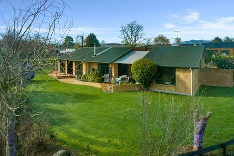 Photo of property in 161 Hautapu Road, Pukemoremore, Cambridge, 3493