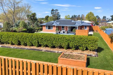 Photo of property in 4 Stonebridge Lane, Oxford, 7430