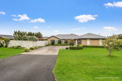 Photo of property in 6 Ormandy Court, Amberley, 7410