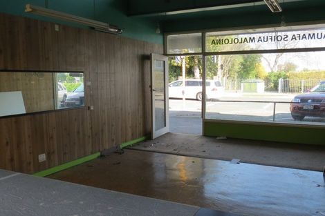 Photo of property in 3 Featherston Street, Levin, 5510