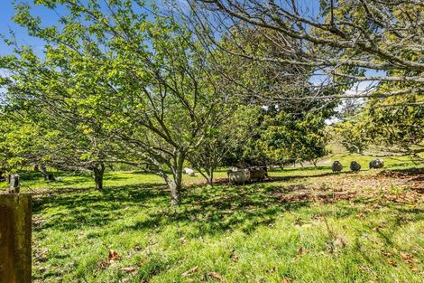 Photo of property in 70 Nilgiri Road, Poraiti, Napier, 4182