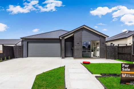 Photo of property in 42 Kakano Street, Clevedon, Papakura, 2582