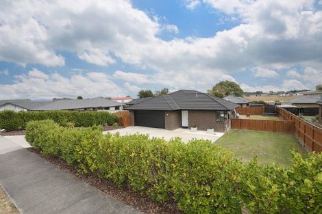Photo of property in 19 Macdonald Heights, Feilding, 4702