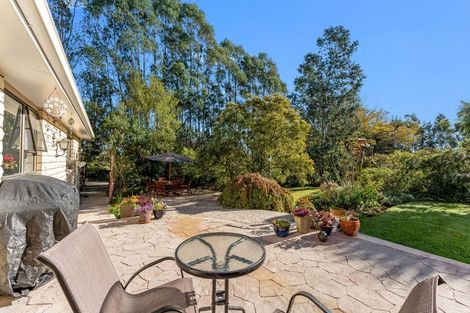 Photo of property in 146 Lyalldale Road, Saint Andrews, 7988