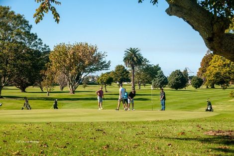 Photo of property in 16a Balmoral Terrace, Otumoetai, Tauranga, 3110