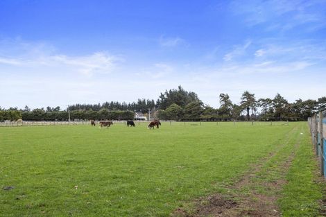 Photo of property in 176 Amberley Beach Road, Amberley, 7481